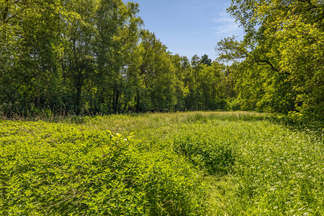 Photo 61 of Berkenlaan 18