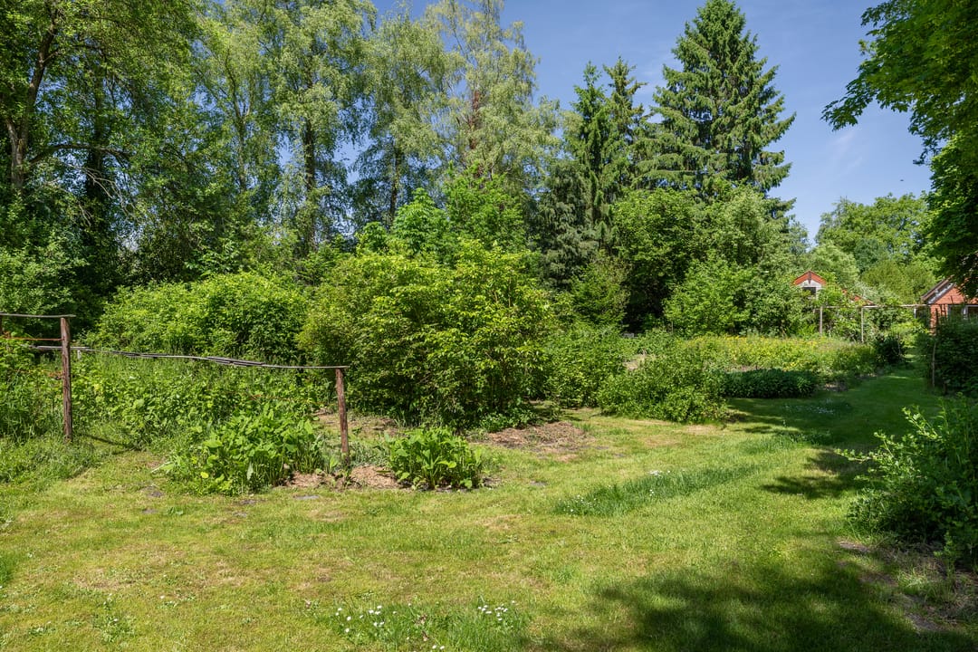 Photo 52 of Berkenlaan 18