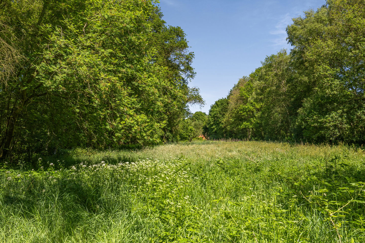 Photo 64 of Berkenlaan 18