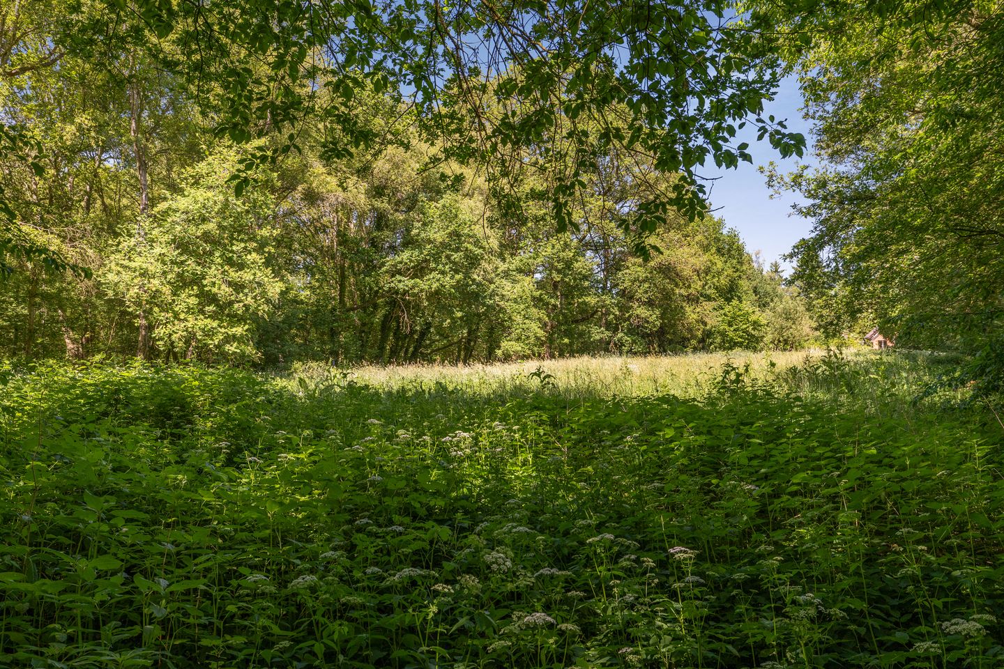 Photo 65 of Berkenlaan 18
