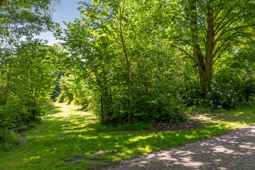 Photo 88 of Berkenlaan 18
