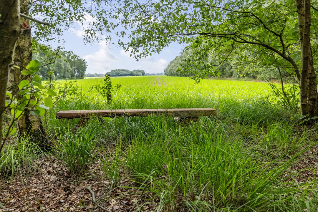 Photo 71 of Berkenlaan 18