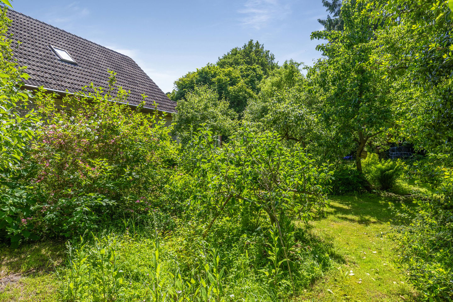 Photo 44 of Berkenlaan 18