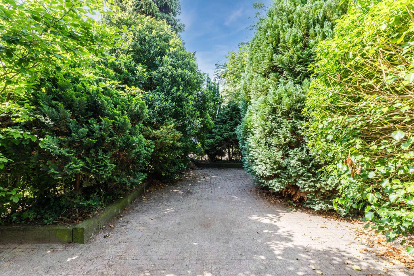 Photo 19 of Dolonstraat 4