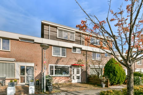 Terneuzenstraat thumbnail