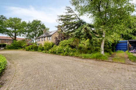 Amelterhout thumbnail