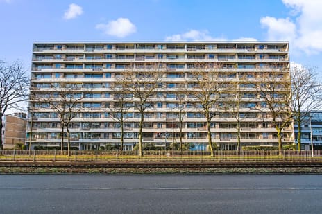 Livingstonelaan thumbnail