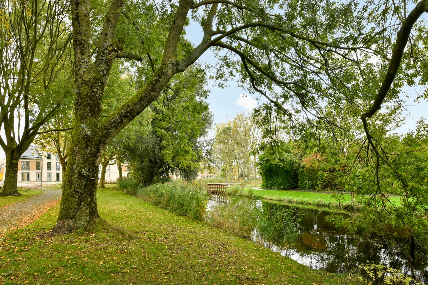 Bekijk foto 4 van Roerdomplaan 35