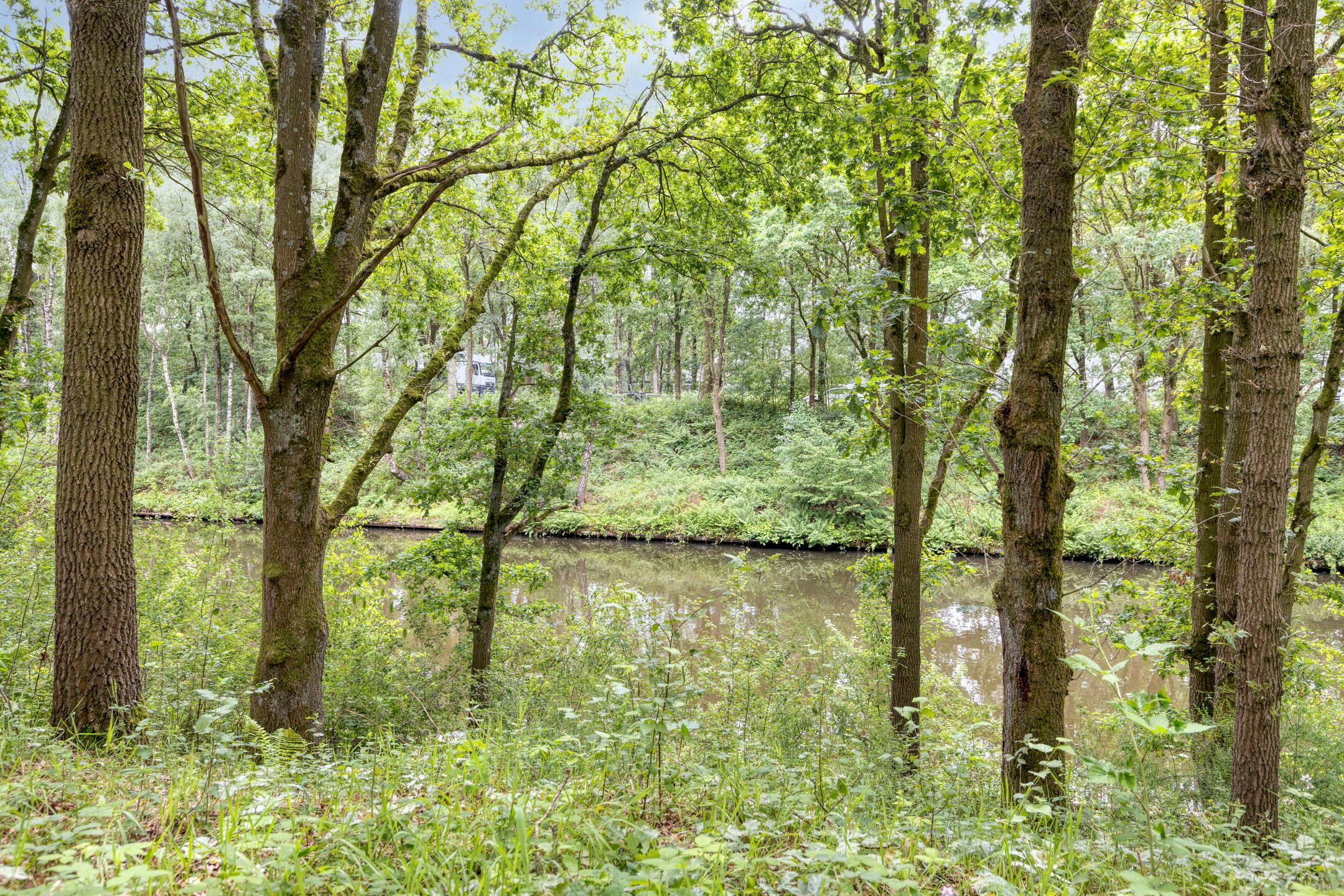 Photo 48 of Galmheuvel 23
