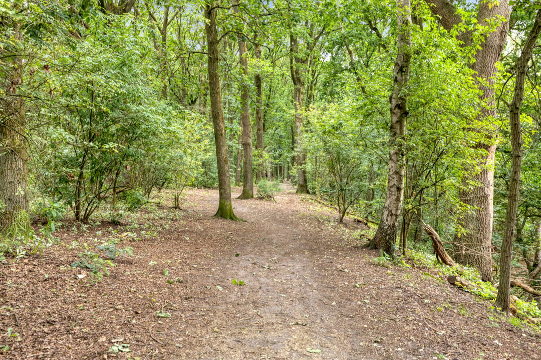 Photo 46 of Galmheuvel 23