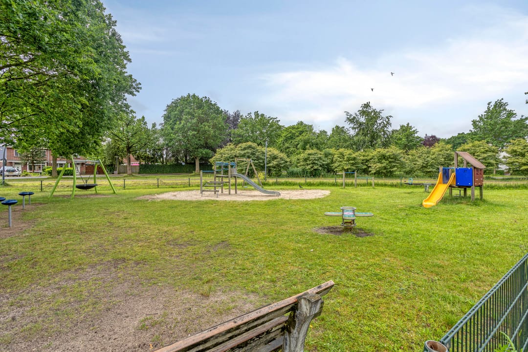 Photo 47 of Vogelvlinder 18