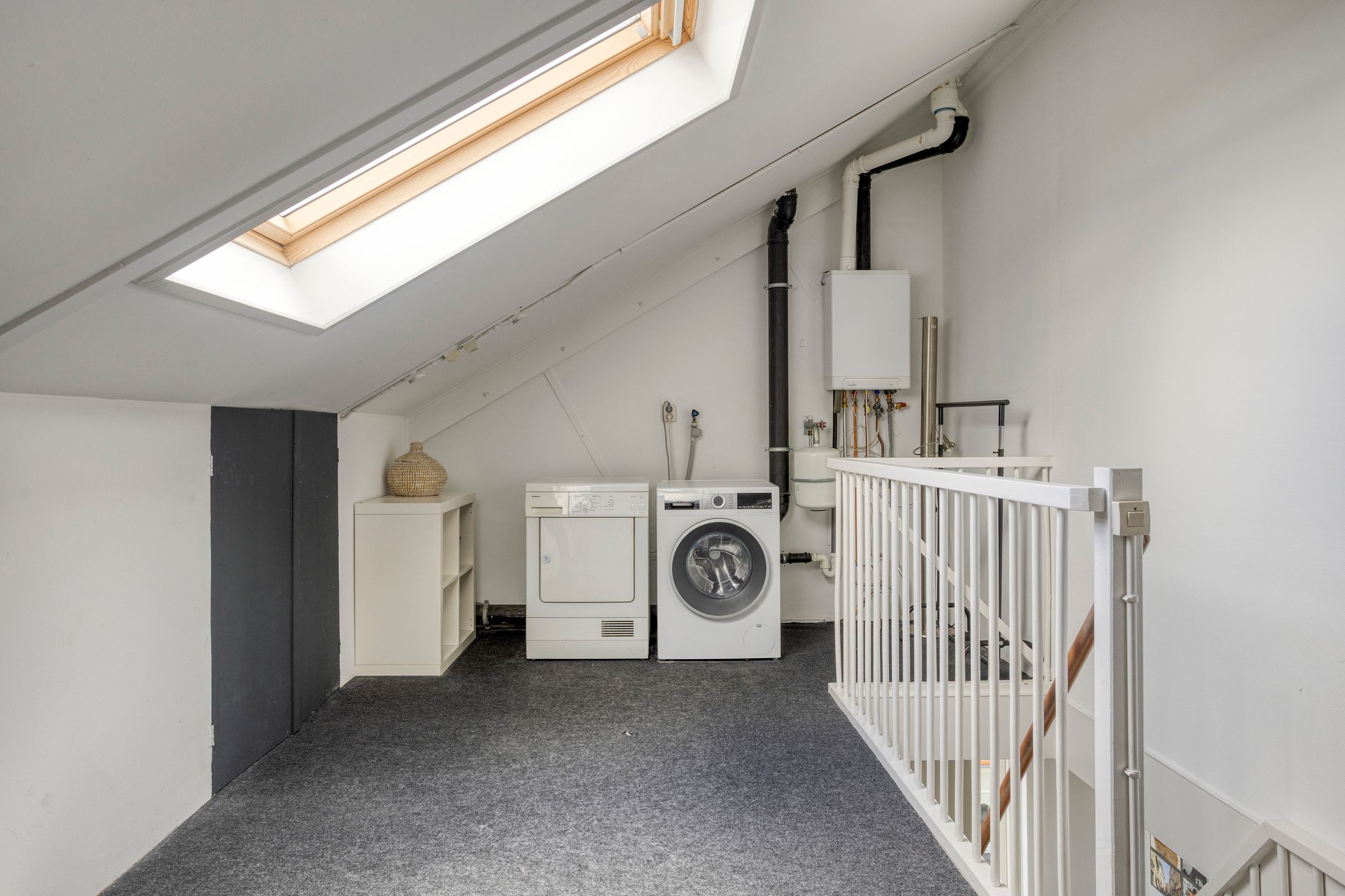 Photo 39 of Vogelvlinder 18