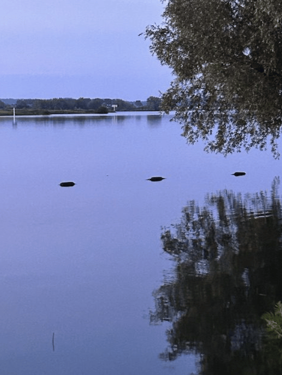 Foto 17 van Rijnbandijk 36-34