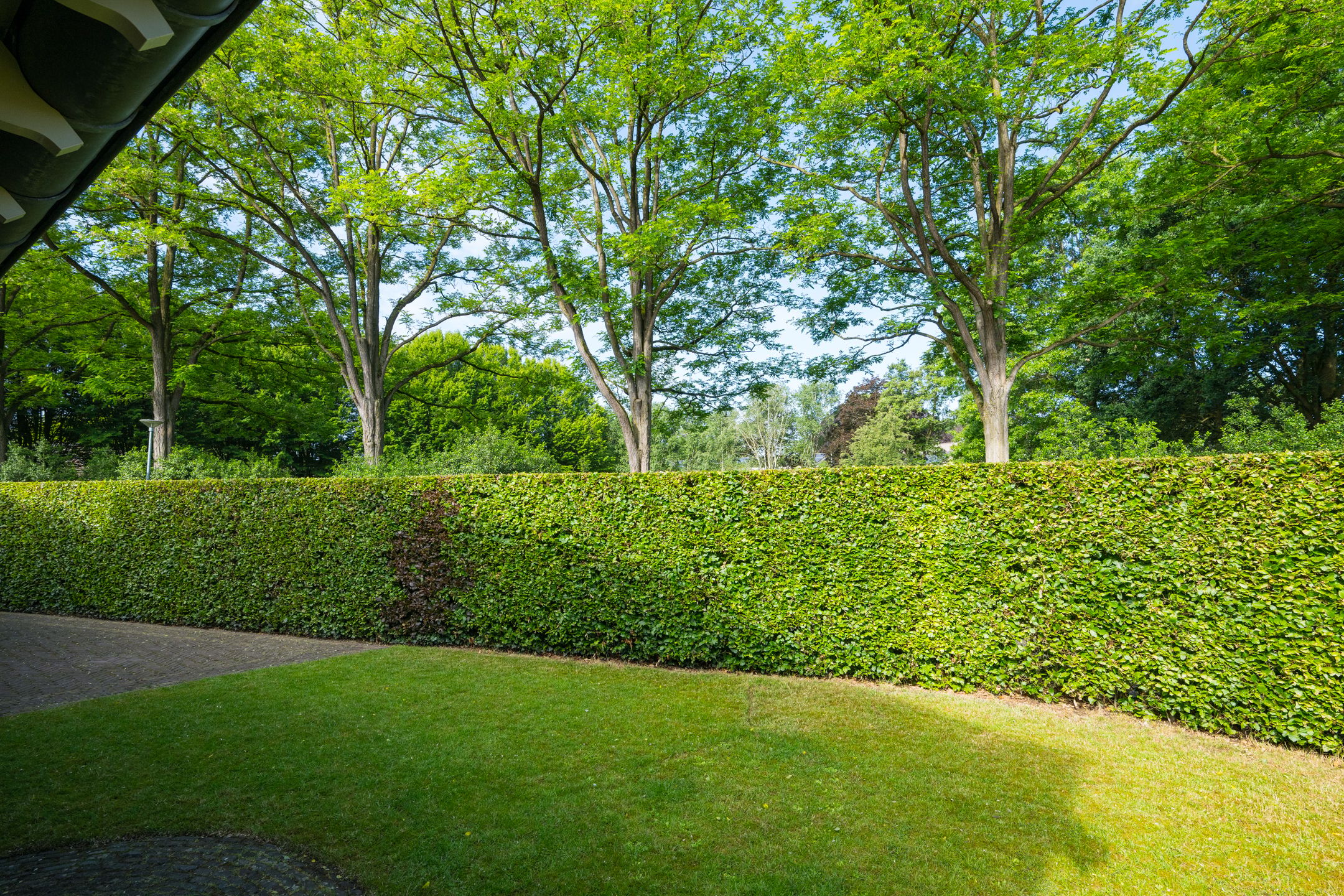 Photo 54 of Koepelweg 13