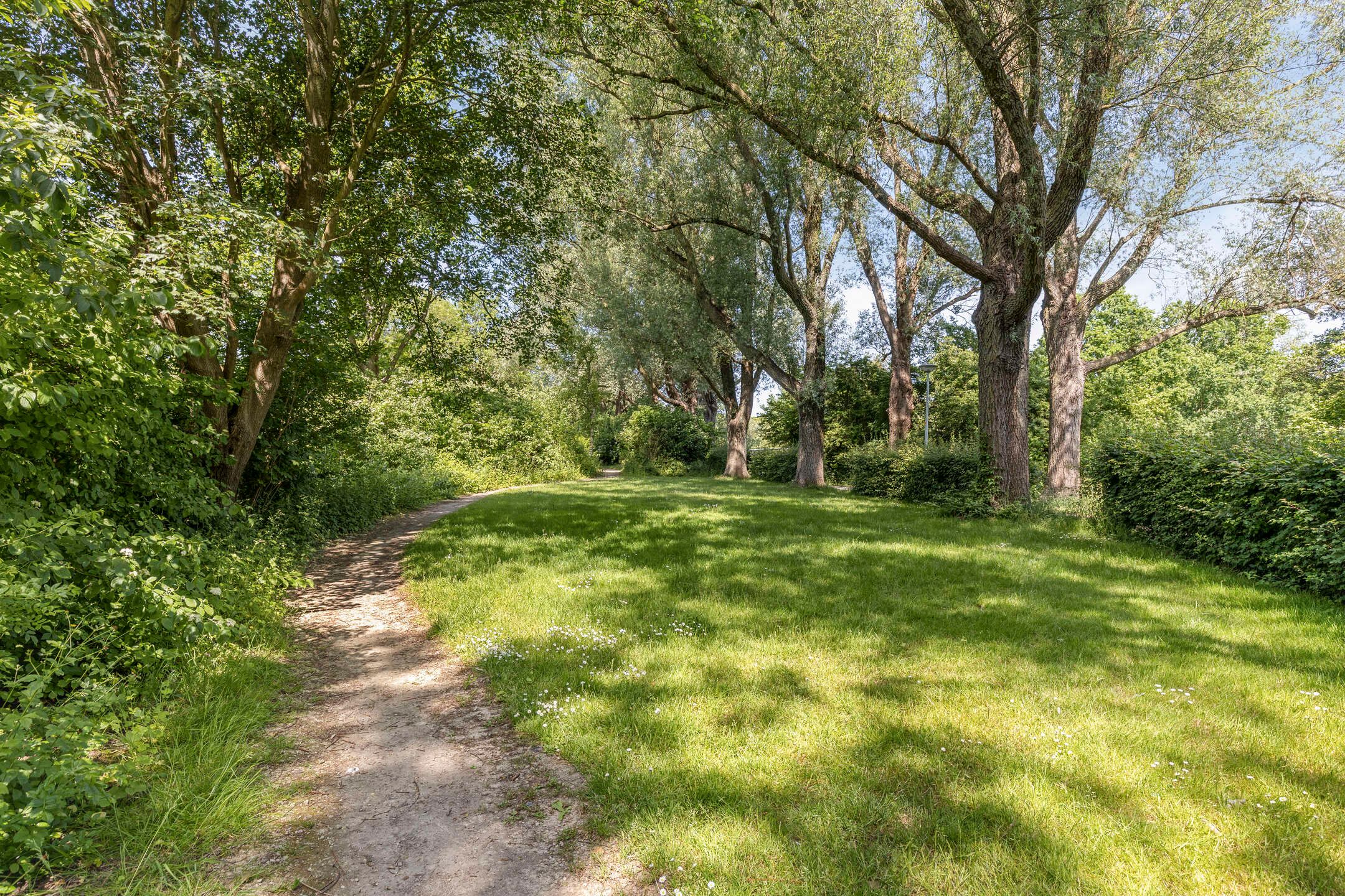 Photo 39 of Ziederij 30