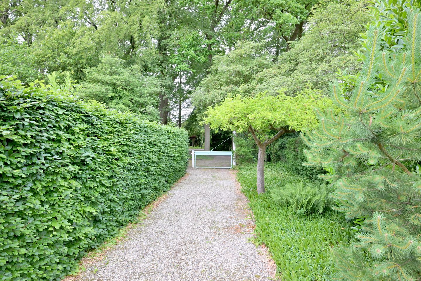 Foto 44 van Olsterweg 16-A