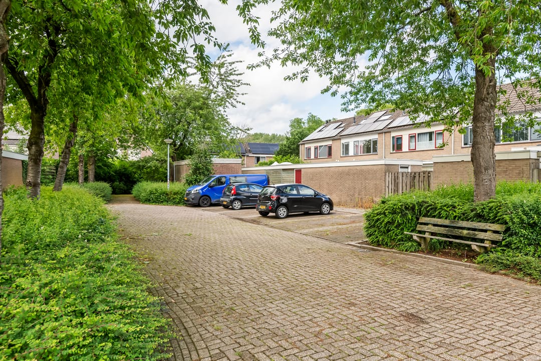 Photo 37 of Saarskampen 4