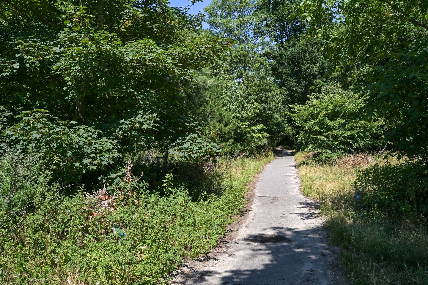 Photo 35 of Badhuisweg 203-A