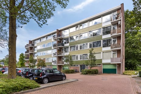 Lucas Gasselstraat thumbnail