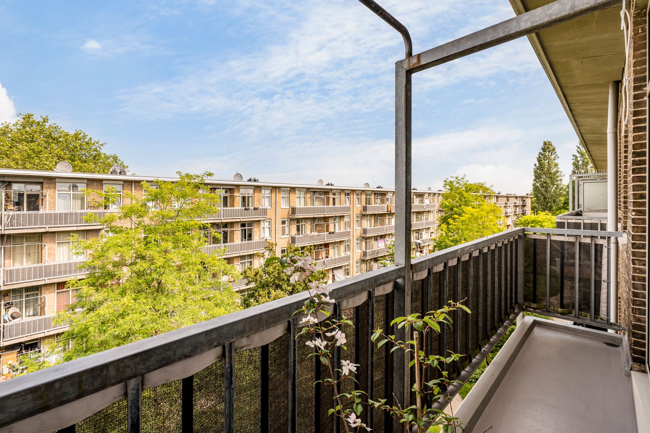 Photo 12 of Louise de Colignystraat 50-3