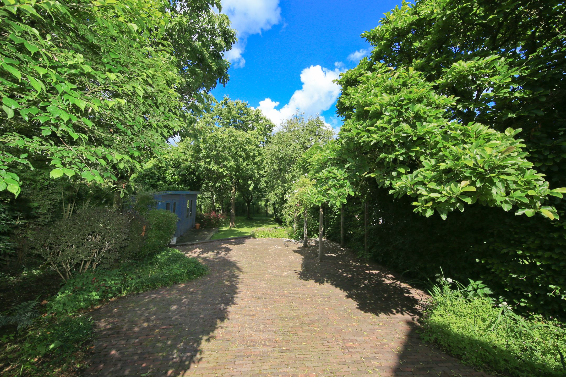 Foto 57 van Nieuwemeerdijk 377