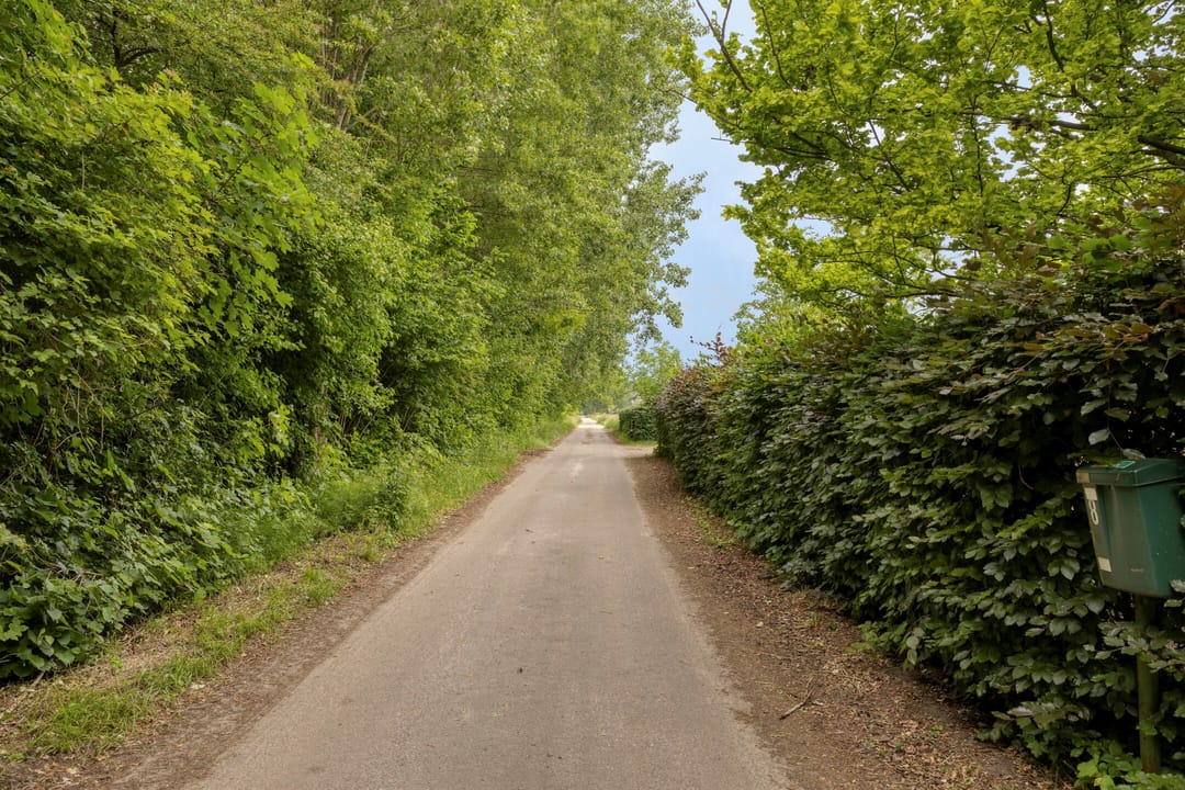 Photo 53 of Langendijk 8