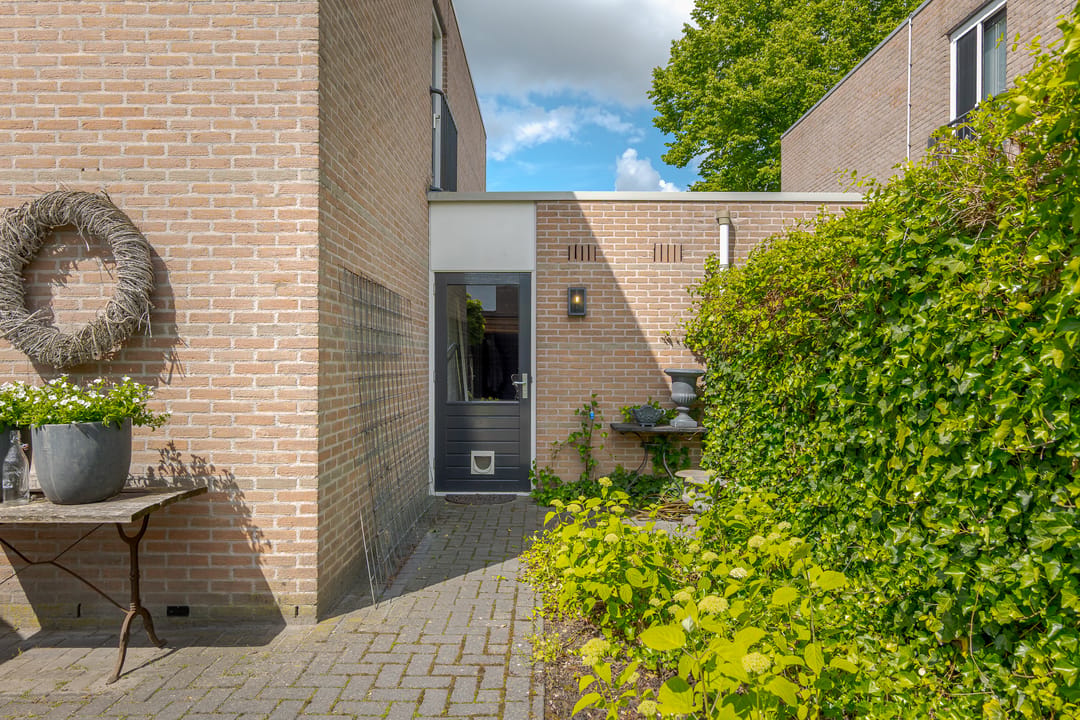 Foto 46 van Braamspinner 24