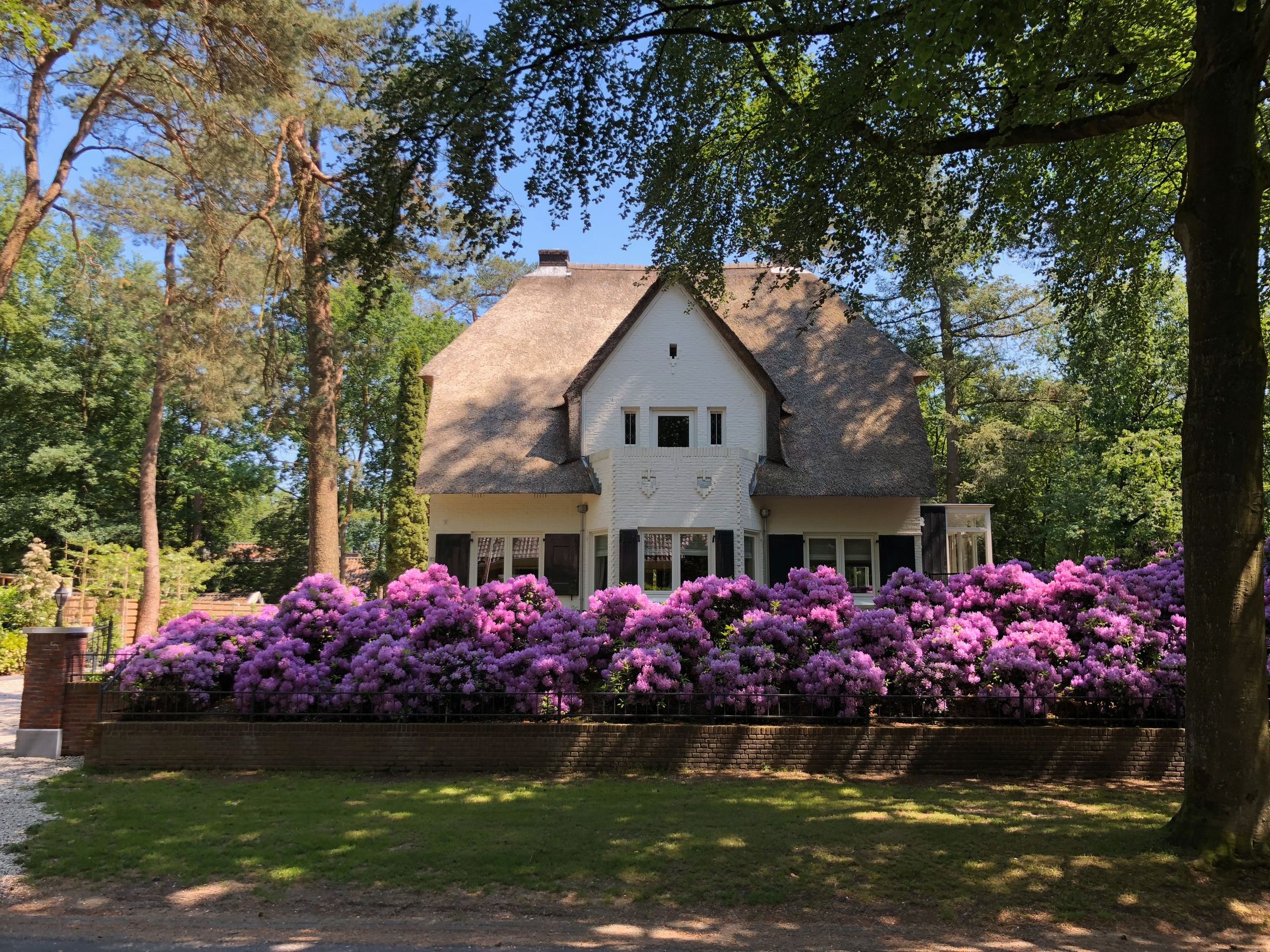 2e Beukenlaan 37