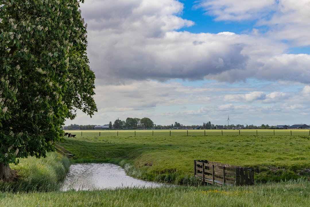 Photo 22 of Moerbeek 31