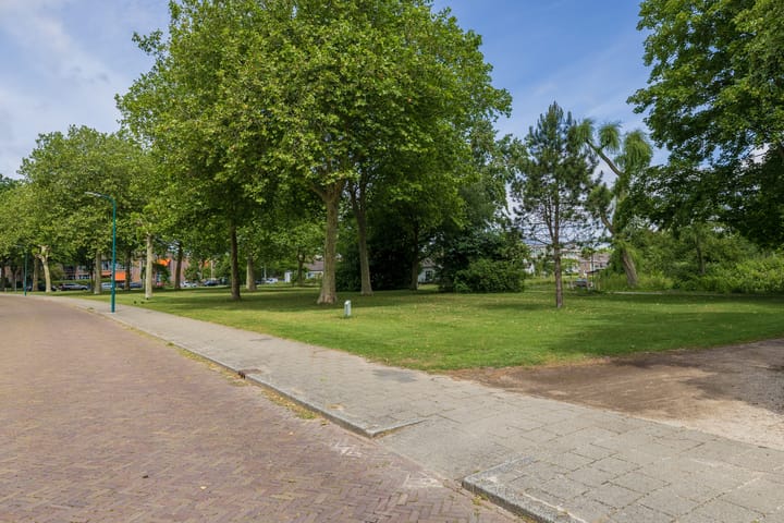 Foto 4 van Laan van Alkemade 7