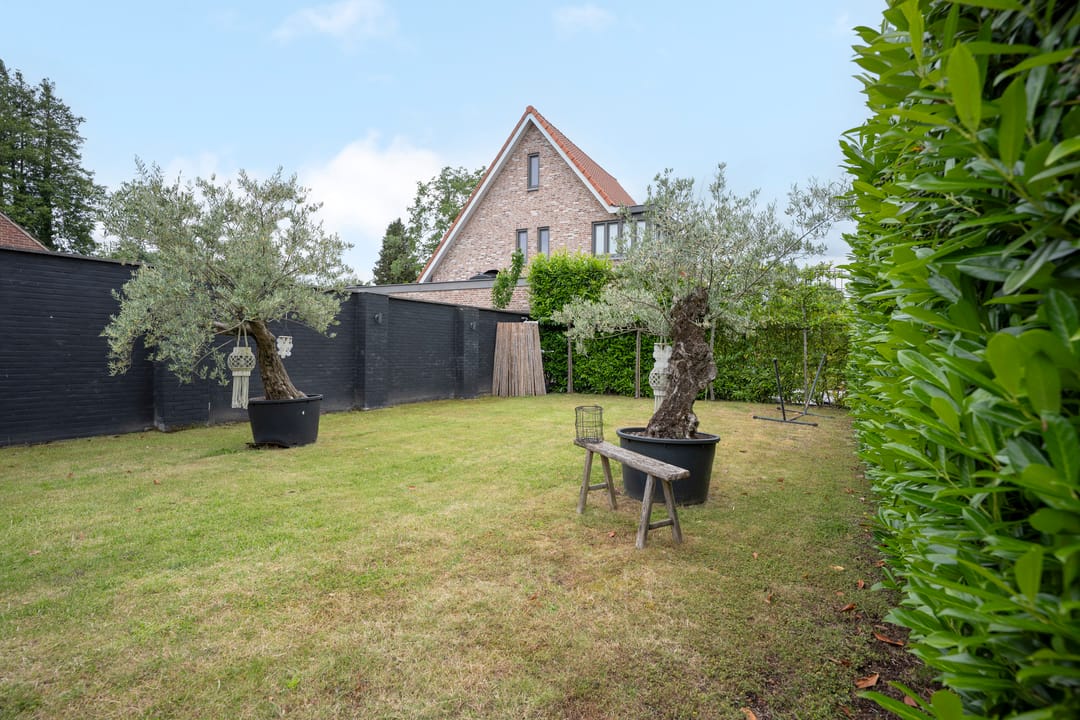 Charming 1950s Detached Family Home with Modern Extension Near Town Center — 46