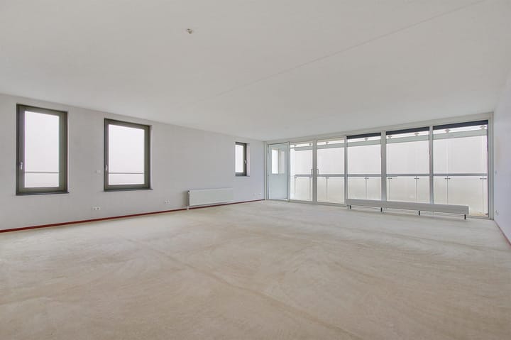 Foto 4 van Luzernevlinder 41