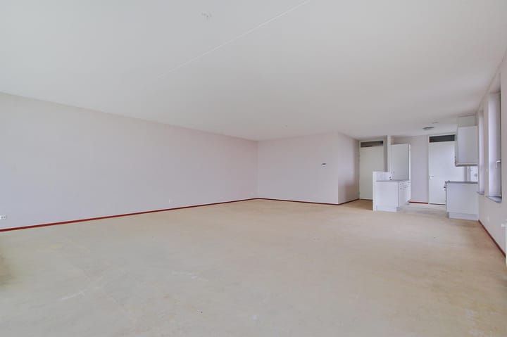 Foto 5 van Luzernevlinder 41