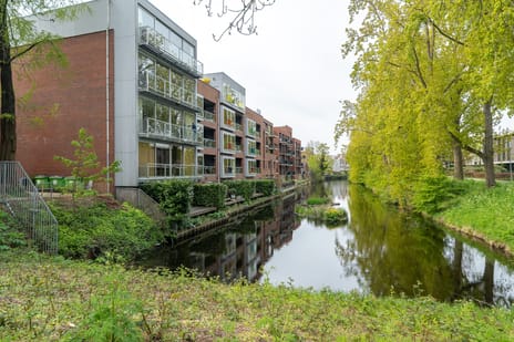 Helper Oostsingel thumbnail