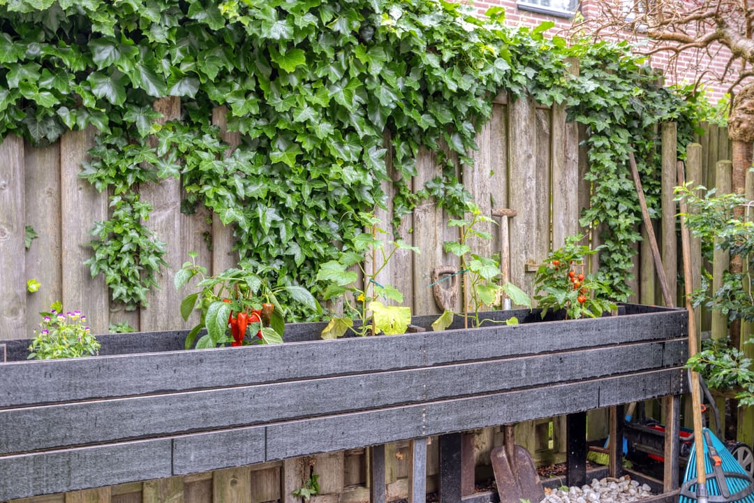 Charming Ground Floor Apartment with Two Gardens in Historic Nijmegen Center — 32