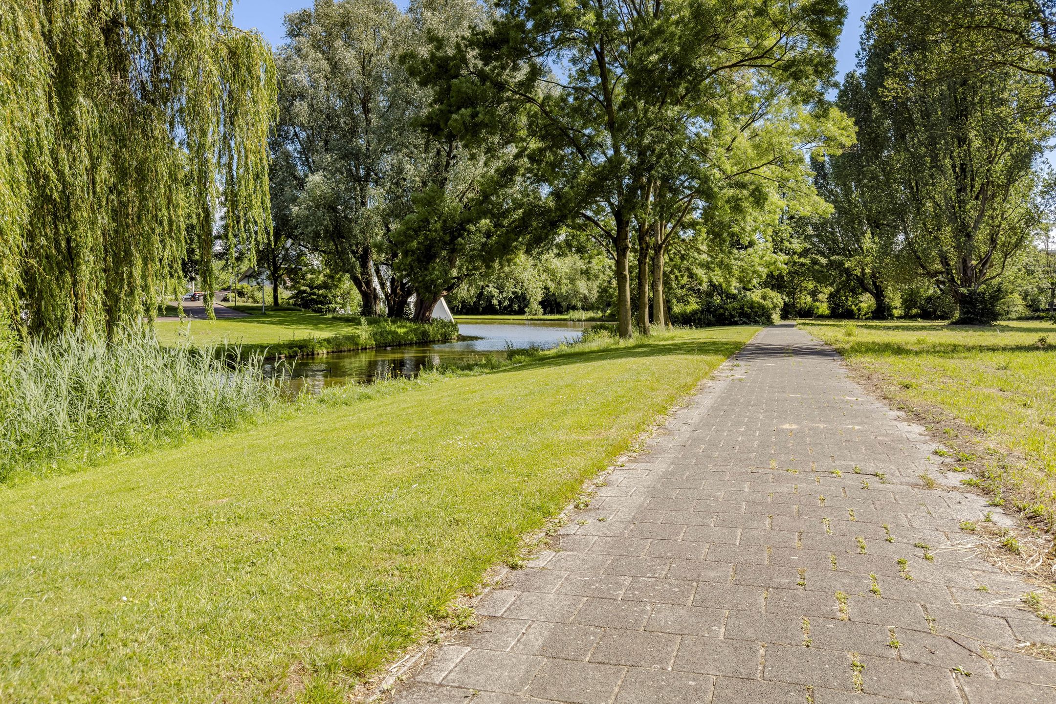 Photo 36 of Lindenlaan 499
