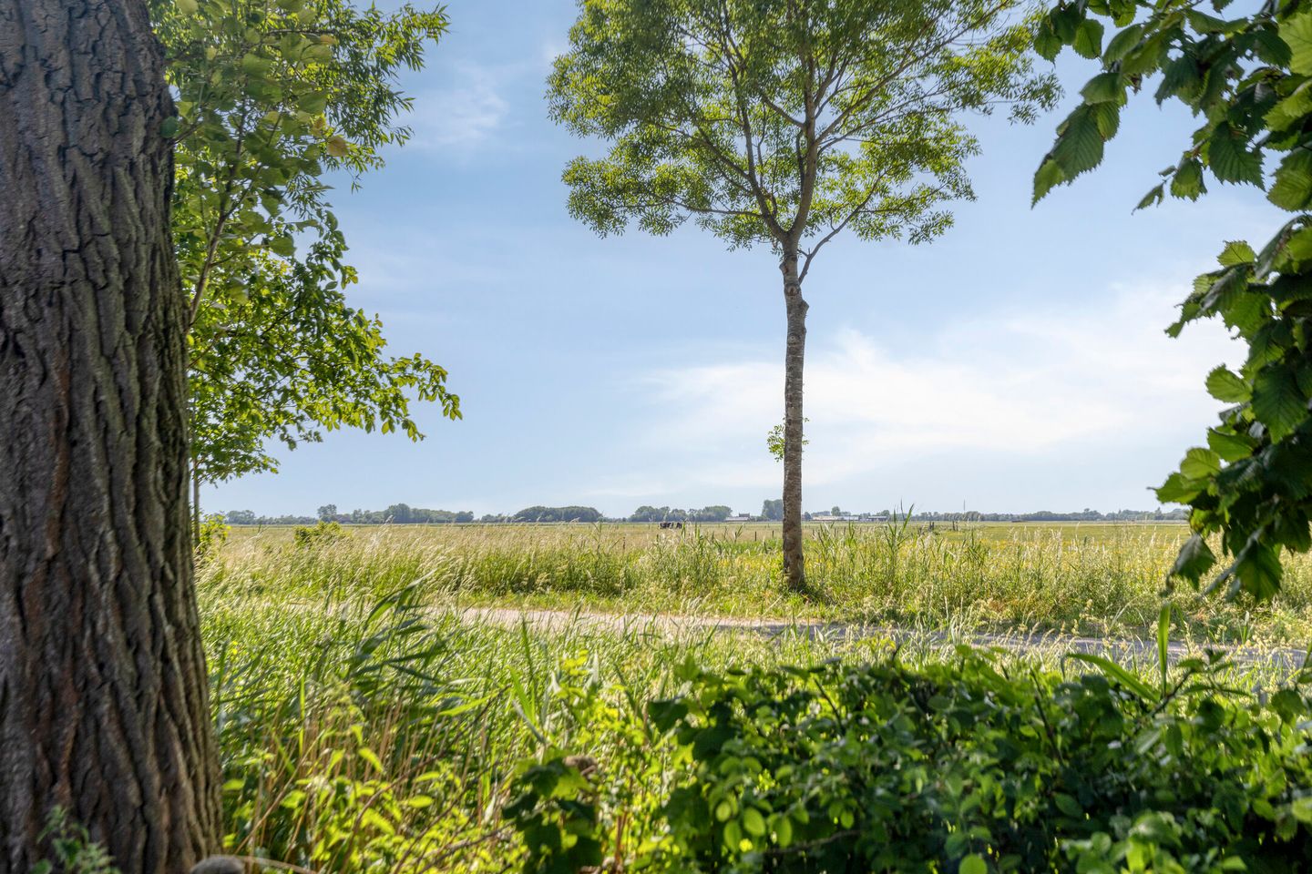 Photo 50 of Pioniersweg 3