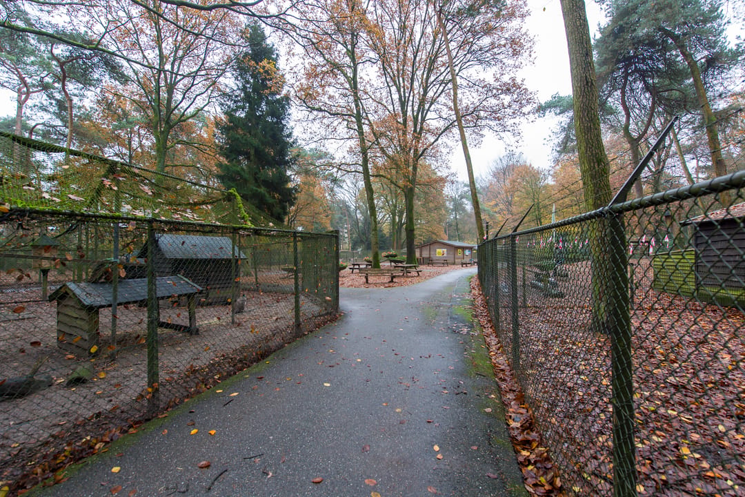 Photo 43 of Vermiljoenstraat 2