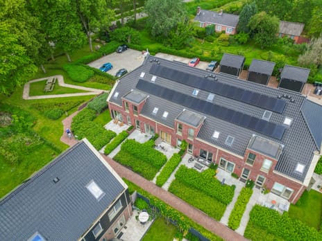 Pijlkruid thumbnail