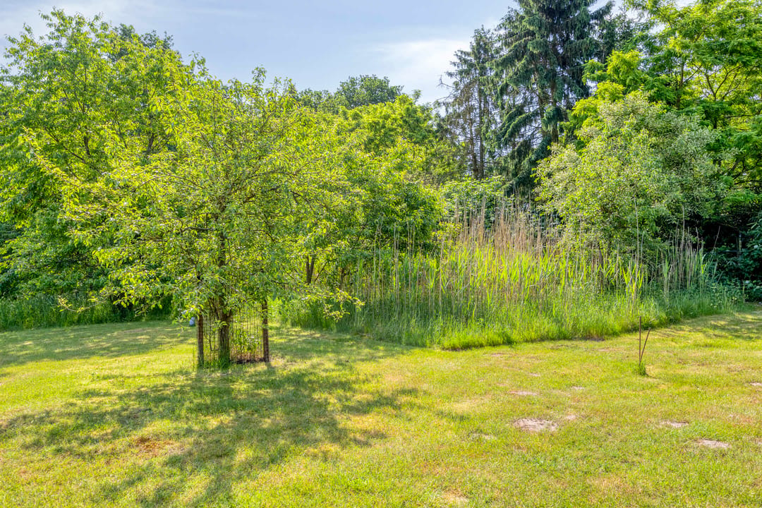Photo 52 of Knikkerdorpweg 15