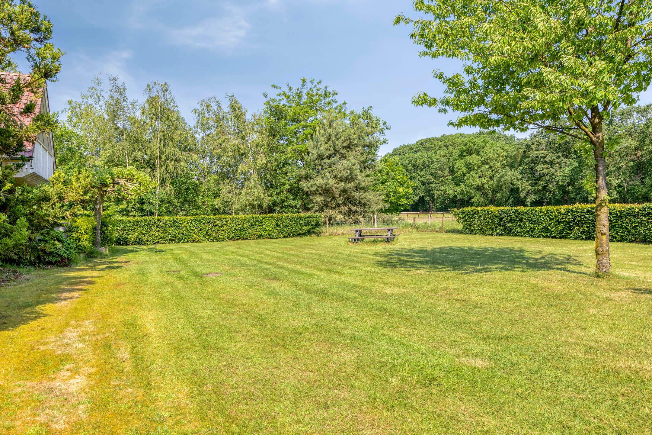 Photo 54 of Knikkerdorpweg 15