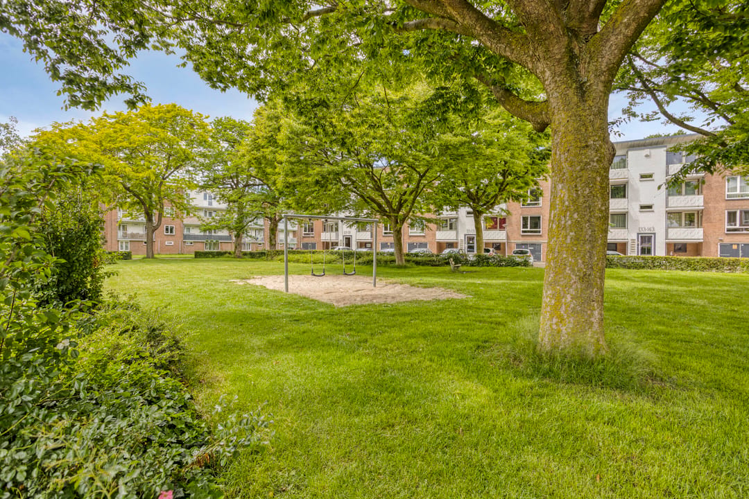 Foto 37 van Pieter van Bleyswijkstraat 24