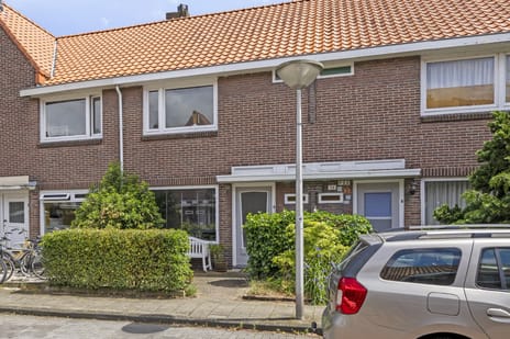 Zonneroosstraat thumbnail