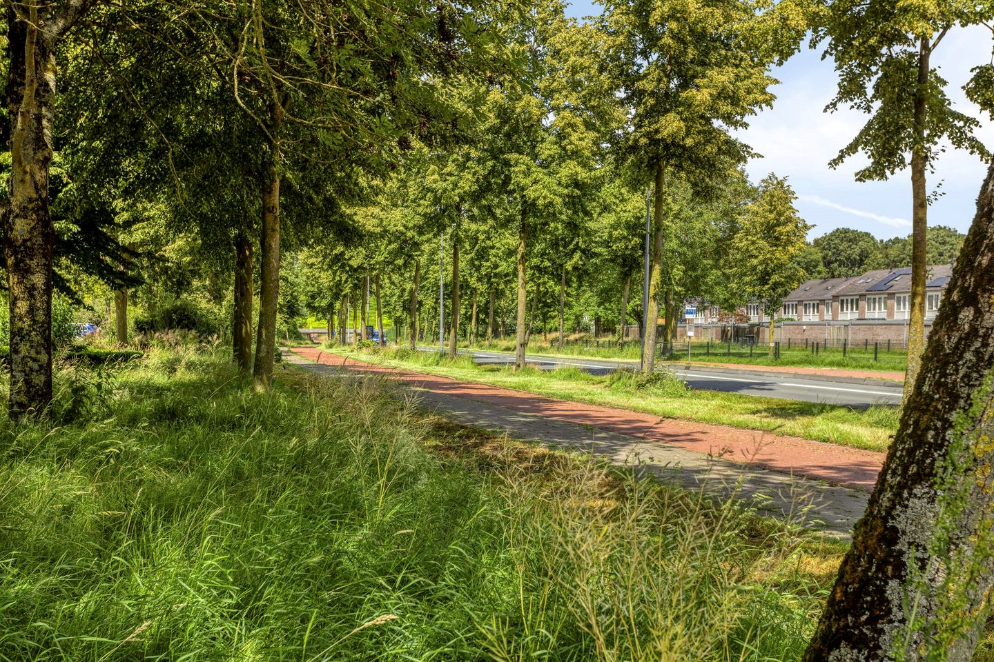 Photo 40 of Vierde Morgen 18