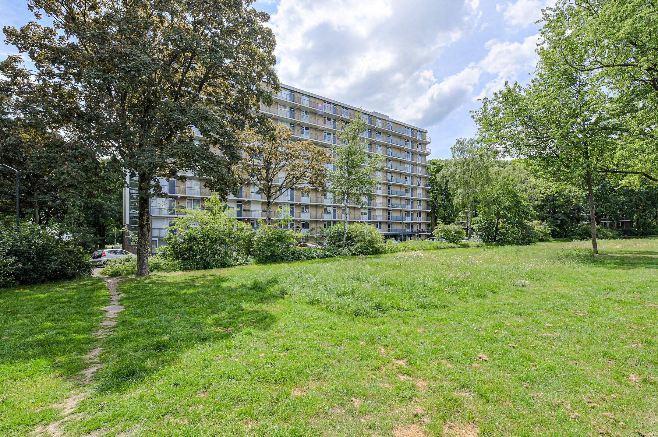 Boerhaavelaan 101 