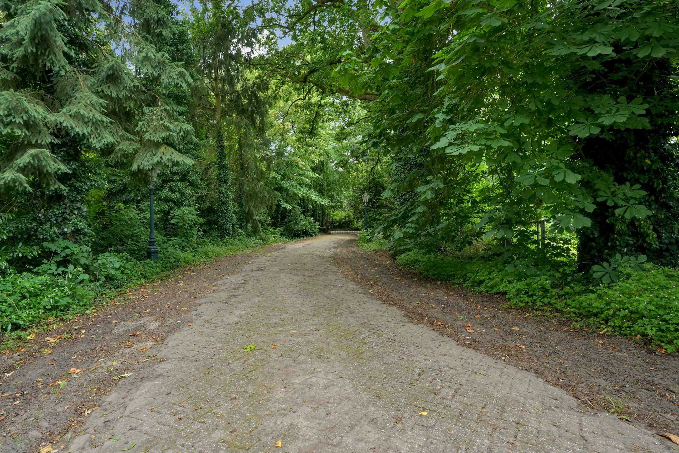 Foto 3 van Geldersestraat 2