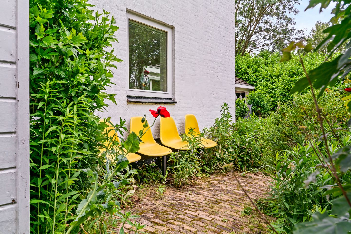 Foto 49 van Smalle Themaat 15