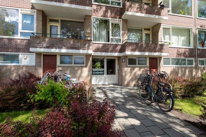 Foto 4 van Duindoornstraat 81