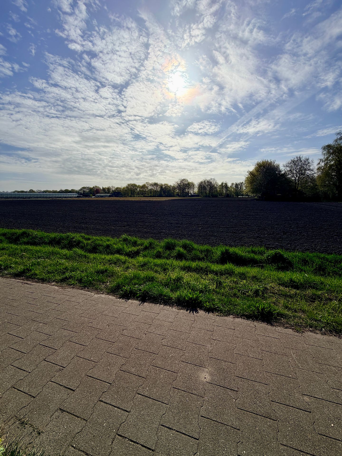 Photo 44 of Hesselereind 2-A