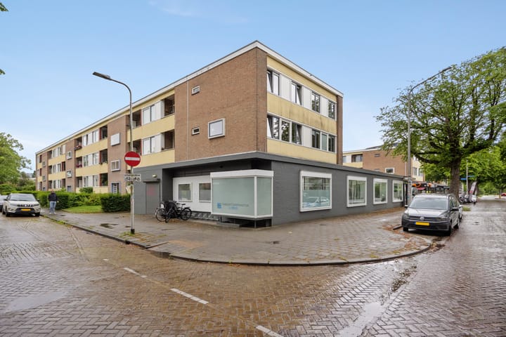 Photo 4 of Professor van der Heijdenstraat 2
